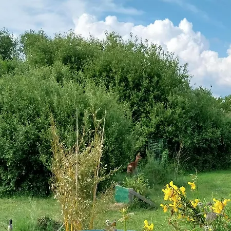 Les Fougeres Étel
